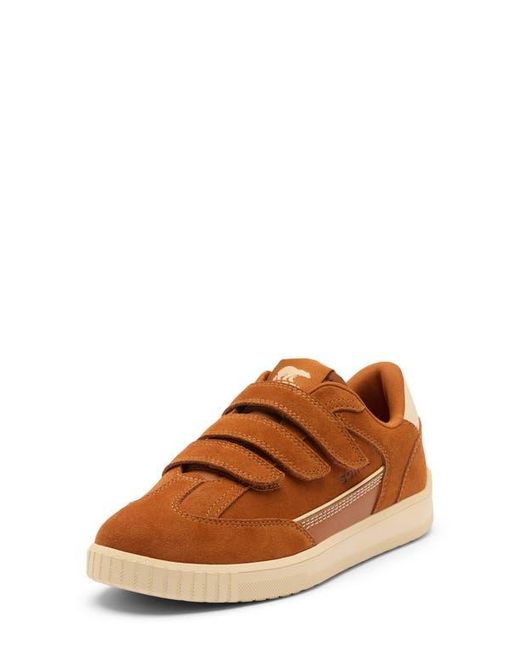 Sorel Brown Ona Drift Strap Sneaker