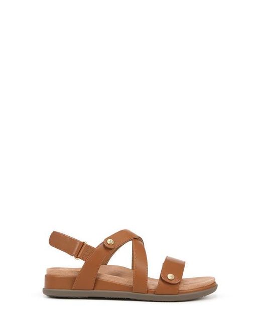 Vionic Brown Cypress Slingback Sandal