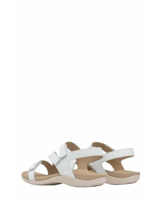 ABEO Metallic Oasis Sandal