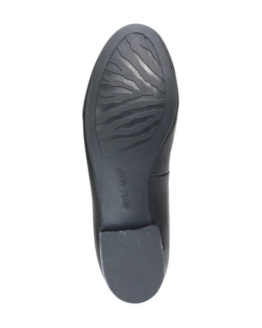 David Tate Blue Omega Flat