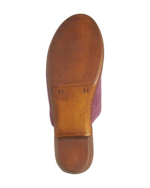Cordani Purple Wanda Clog