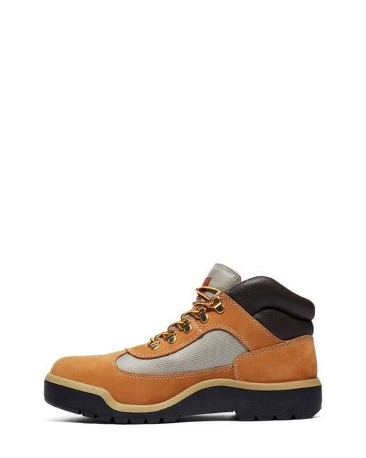 Timberland Brown Field Waterproof Boot for men