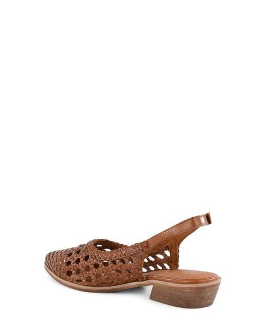 Seychelles Brown Roxanne Slingback Flat