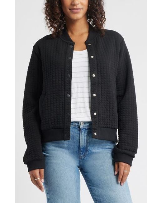 Caslon Black Quilted Cotton Bomber Jacket
