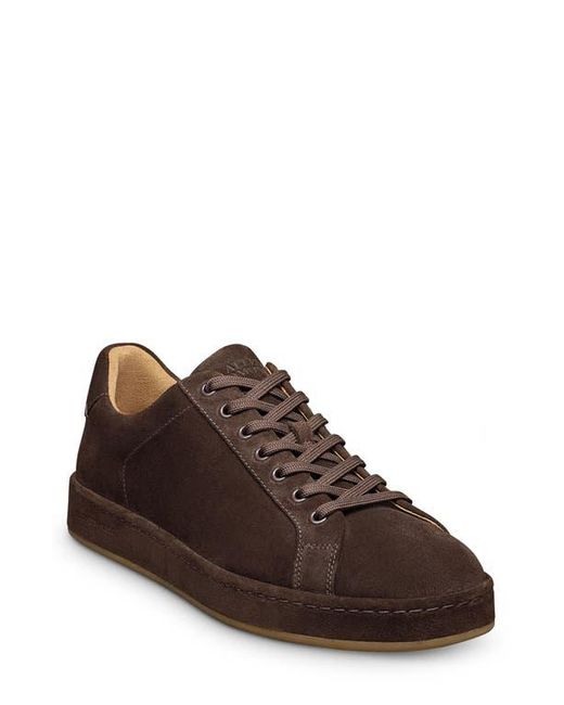 Allen Edmonds Brown Barnes Low Top Sneaker for men