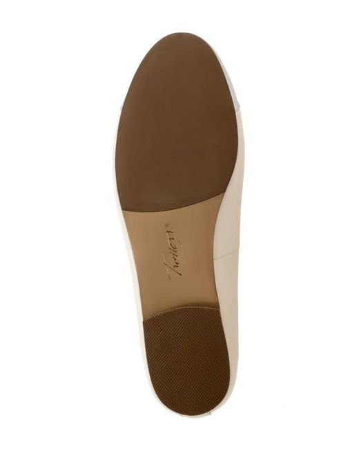 Trotters Natural Clara Cap Toe Flat