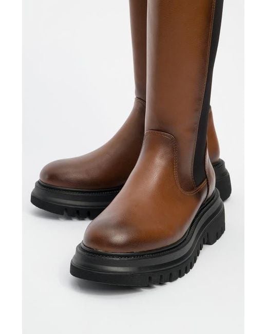Prologue Shoes Brown Shadow Knee High Boot