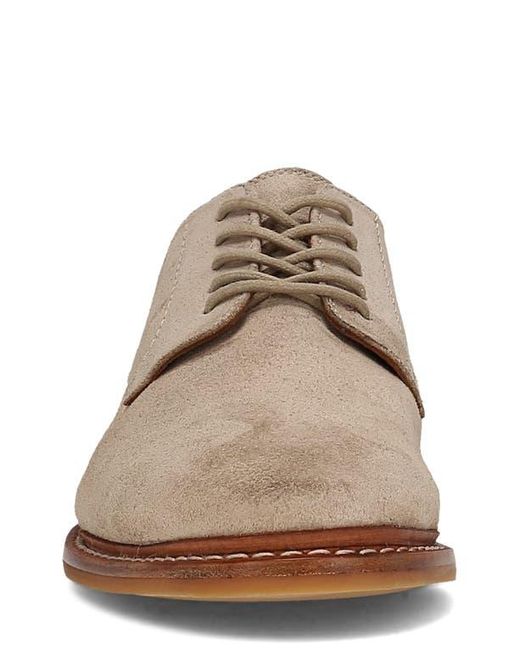 Frye Brown Paul Suede Plain Toe Derby for men