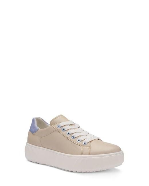 Ara Multicolor Mikky Platform Sneaker