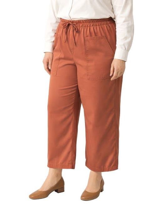 Standards & Practices Multicolor Crop Pants