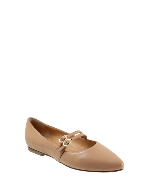 Trotters Brown Emerald Pointed Toe Mary Jane Flat
