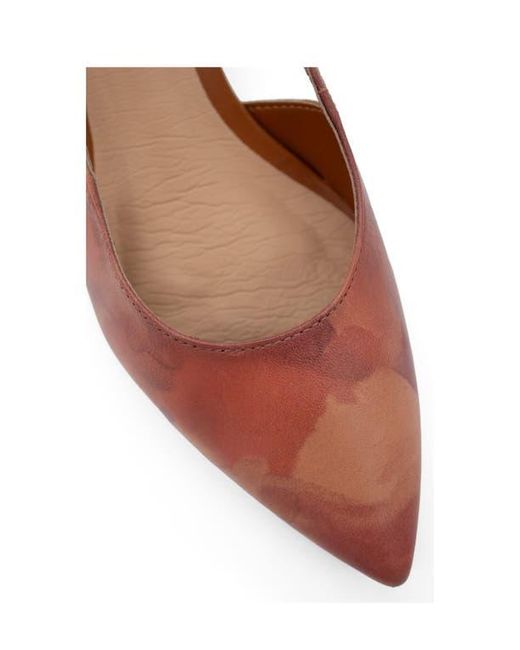 BOTTER Brown Botolivia Legacy Pointed Toe Slingback Pump