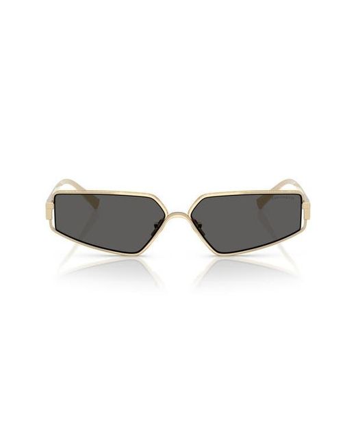 Tiffany & Co Multicolor 60Mm Irregular Rectangular Sunglasses
