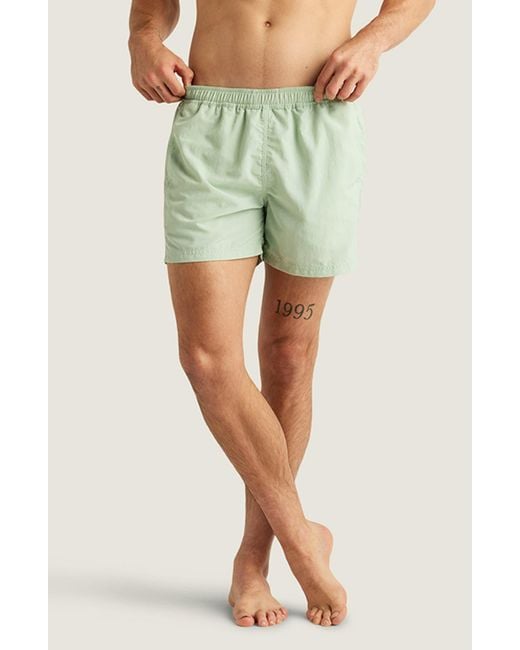 AUTO-REPLY™ Green Sebastian Solid 4-Inch Nylon Swim Trunks for men