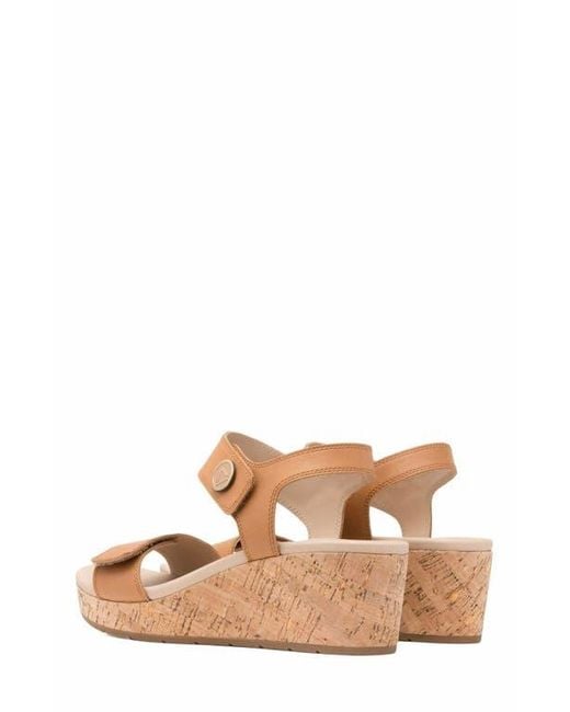 ABEO Brown Riviera Strap Sandal