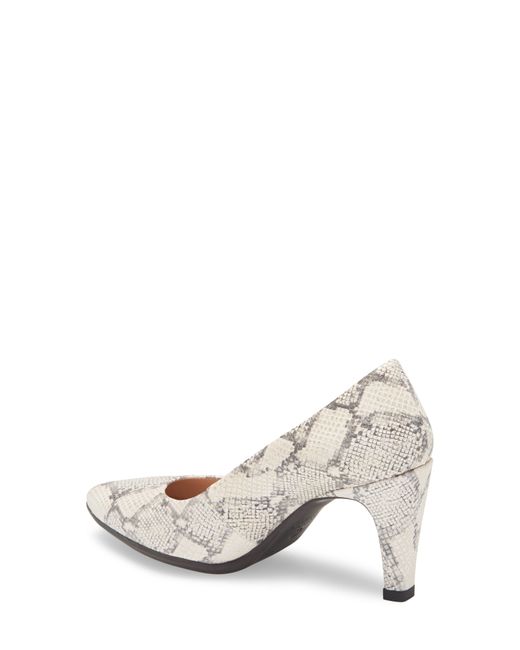 wonders platform pump