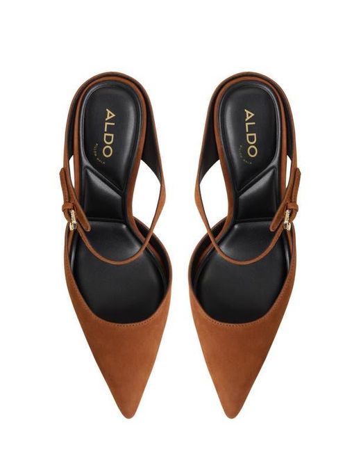 ALDO Brown Sidnney Pointed Toe Pump