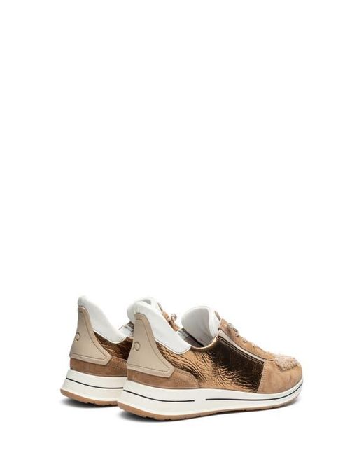 Ara Natural Ovation Sneaker