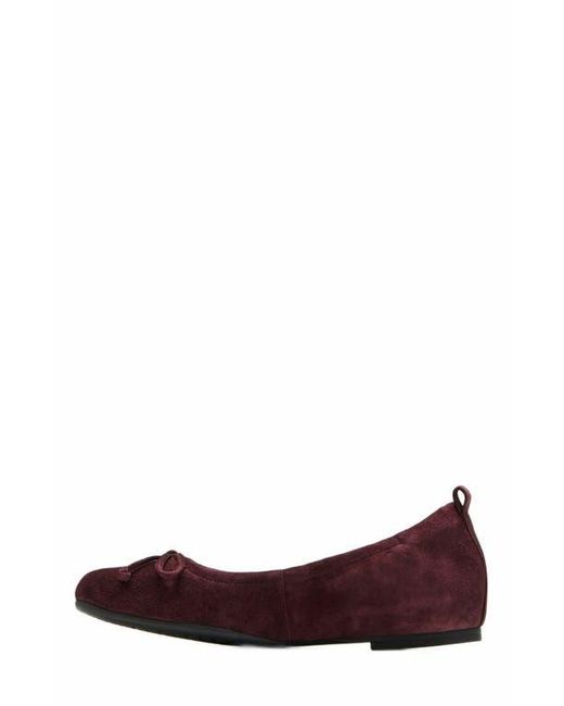 ABEO Brown Cadence Bow Ballet Flat