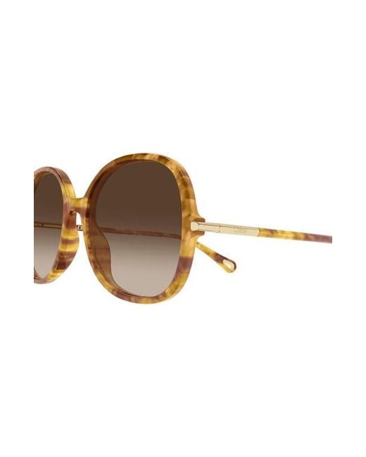 Chloé Brown 57Mm Gradient Round Sunglasses