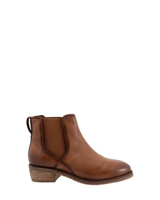 Softwalk® Brown Rana Chelsea Boot