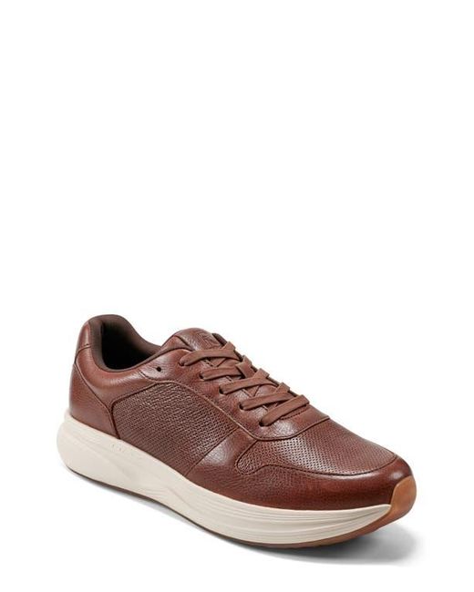 Rockport Brown X Dmx Colby Sneaker for men