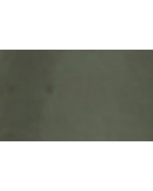 Bella Dahl Green A-Line Shirtdress