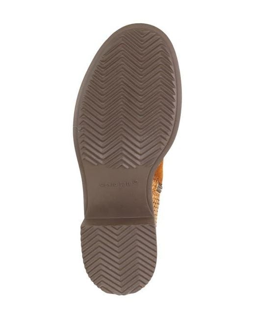 David Tate Brown Swinger Cap Toe Bootie