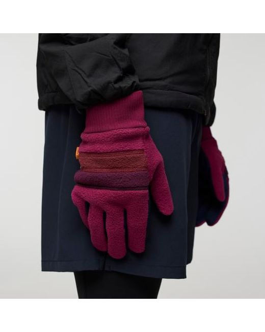 COTOPAXI Blue Teca Fleece Gloves
