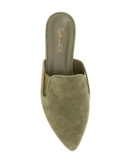 Splendid Green Liza Mule