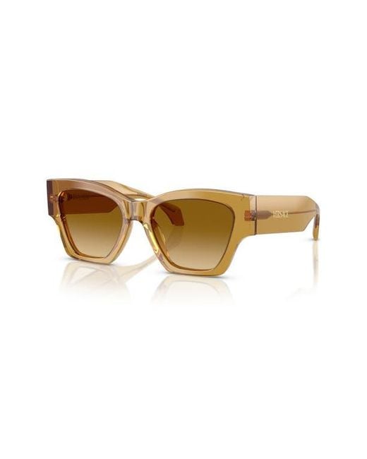 Versace Natural 53Mm Cat Eye Sunglasses