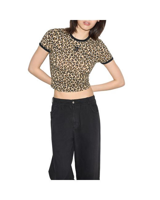 Converse Black Box Star Tee