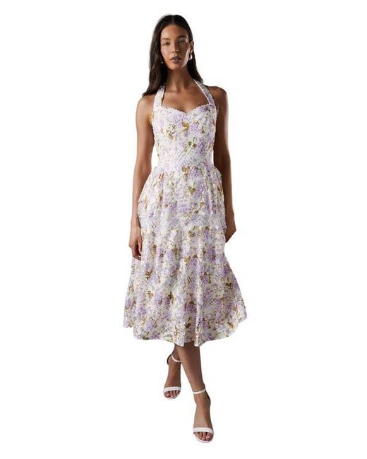 Coast White Printed Lace Halter Neck Midi Dress