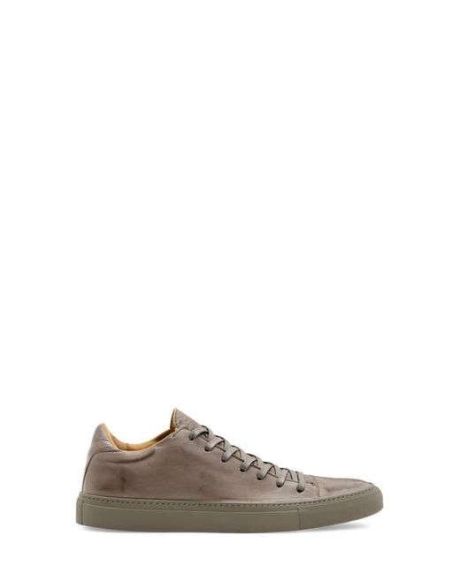 John Varvatos Multicolor Reed Low for men