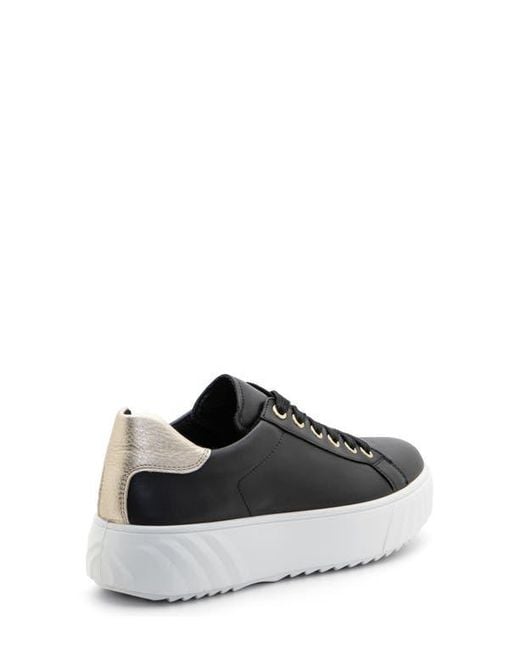 Ara White Mikky Platform Sneaker