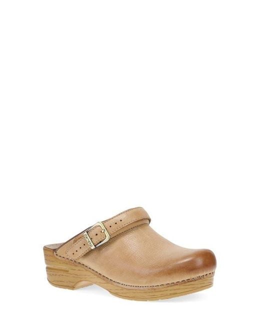 Dansko Multicolor Ingrid Clog