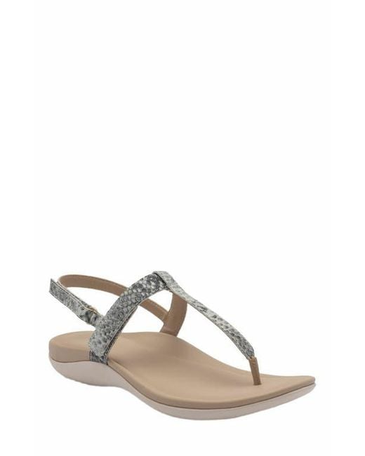 ABEO Metallic Oasis T Strap Sandal