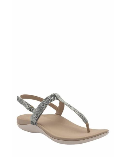 ABEO Metallic Oasis T Strap Sandal