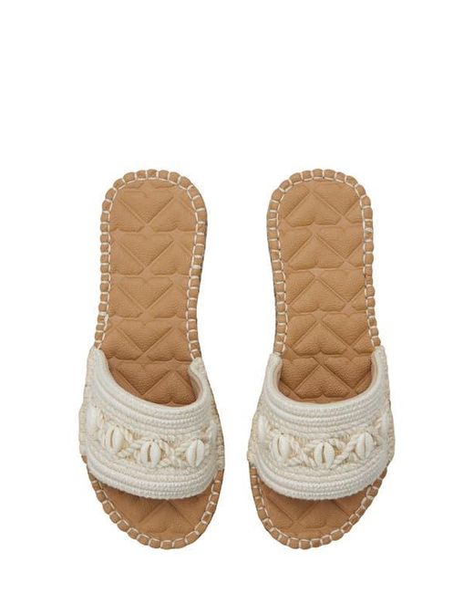 Roxy Multicolor Shoresoft Slide Sandal