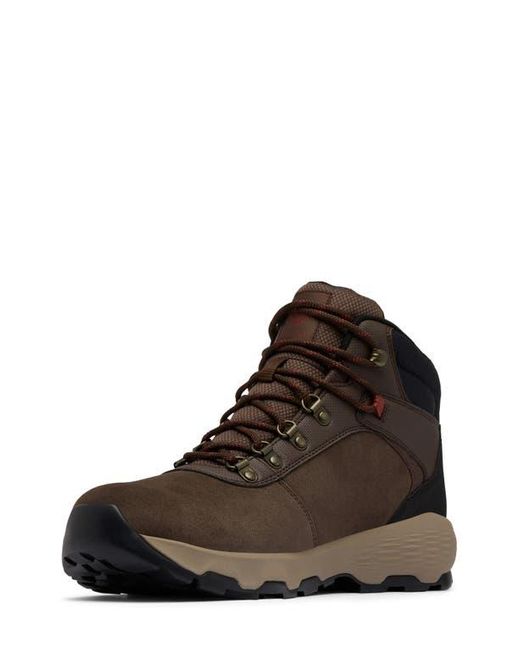 Columbia Brown Newton Wander Waterproof Hiking Boot for men