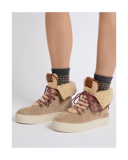 Penelope Chilvers Multicolor Phoenix Wool Bootie