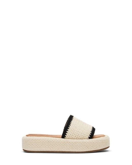Steve Madden Multicolor Beachy Platform Sandal