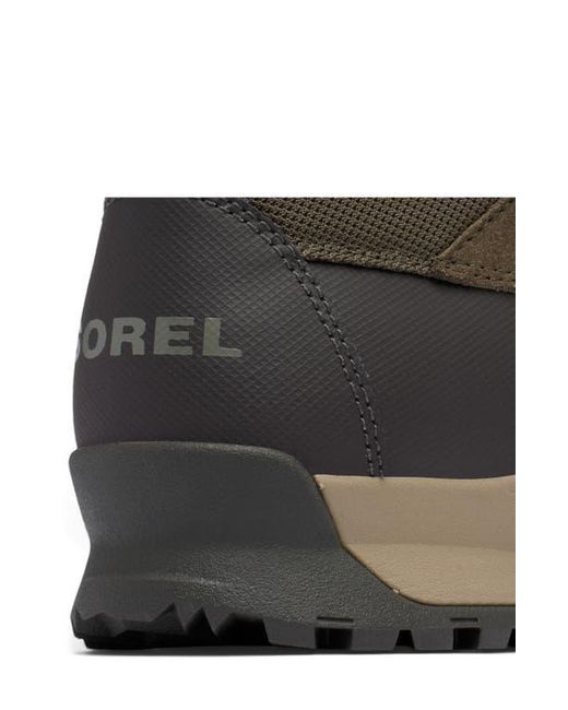 Sorel Brown Buxton Lite Plus Waterproof Boot for men