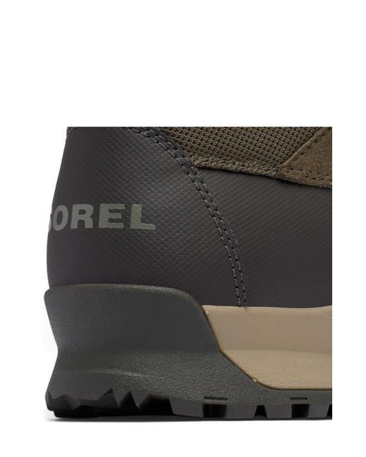 Sorel Brown Buxton Lite Plus Waterproof Boot for men