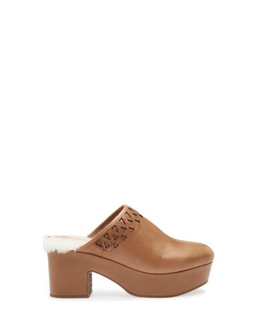 Chocolat Blu Brown Gannet Platform Clog
