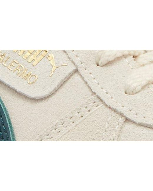 PUMA White Palermo Elevata Platform Sneaker