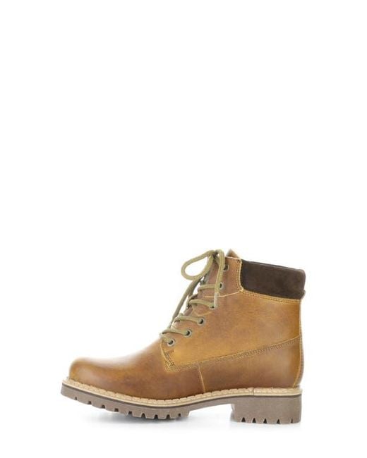Bos. & Co. Brown Hartt Waterproof Boot