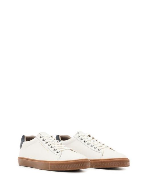 AllSaints White Brody Low Top Sneaker for men