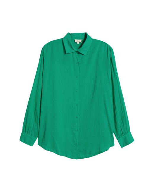 Elan Green Cotton Button-up Cover-up Shirt
