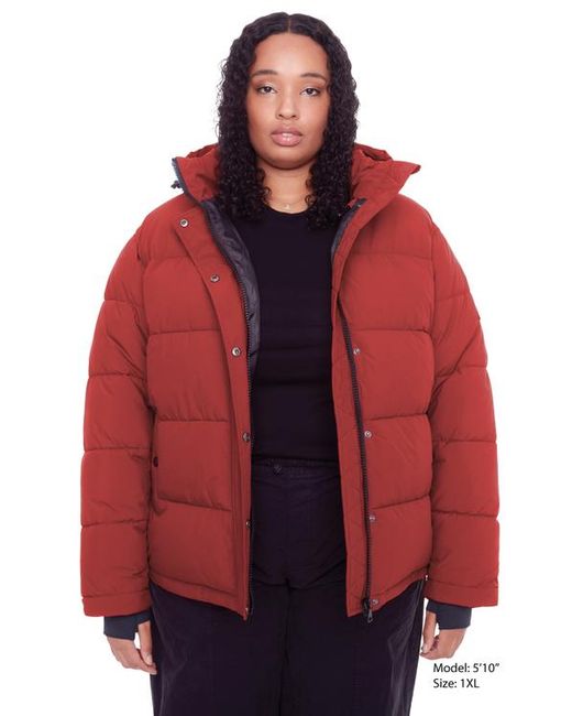Alpine North Red Forillon Plus Size